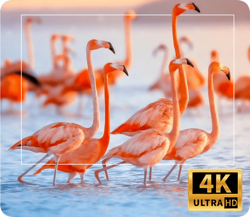 Projetor Portátil Cubic Ultra 4K: Cinema em Casa com Wi-Fi e Android para Entretenimento Completo
